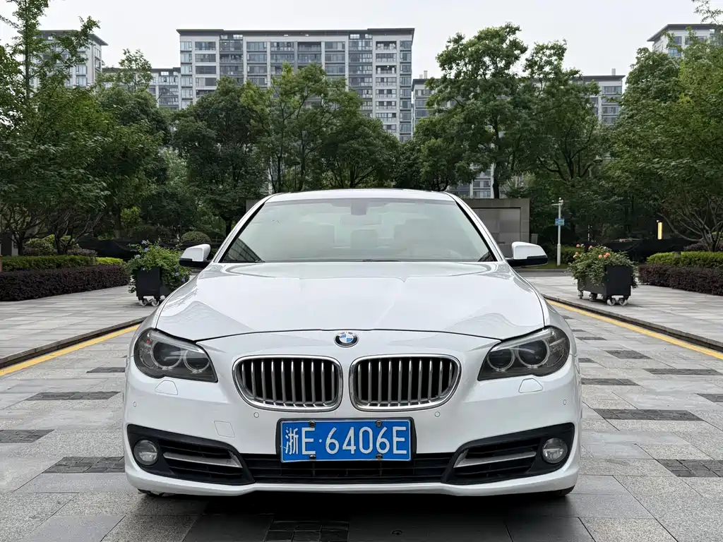 BMW 5 Series 5 2015 535Li Lead