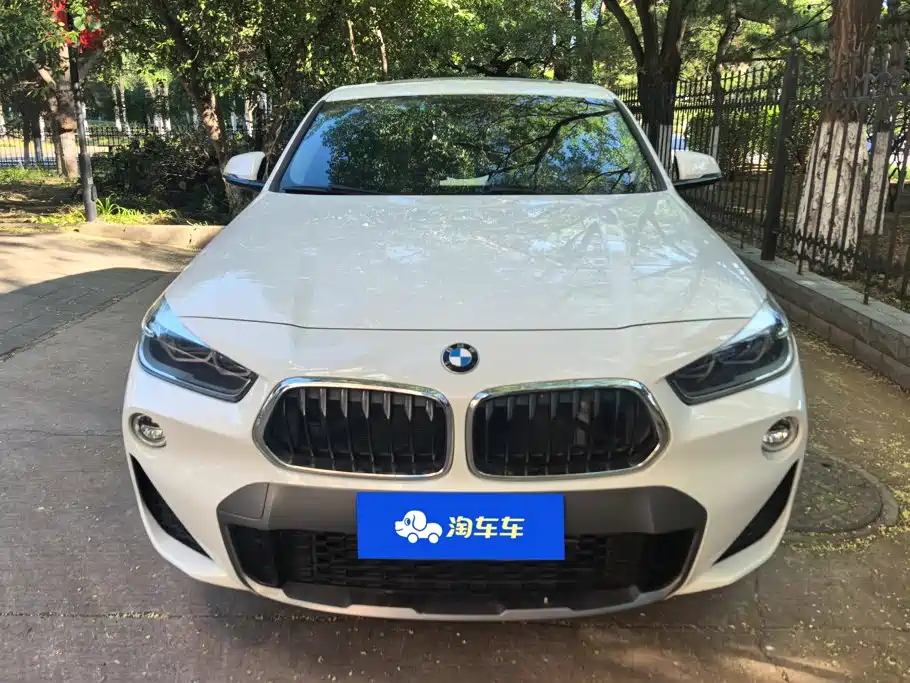 BMW X2 (Import) — миниатюра 2