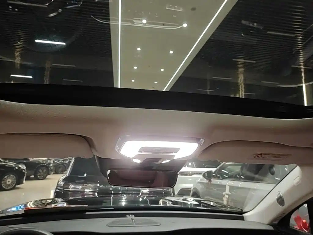 Hongqi Hongqi E-HS9 — миниатюра 18