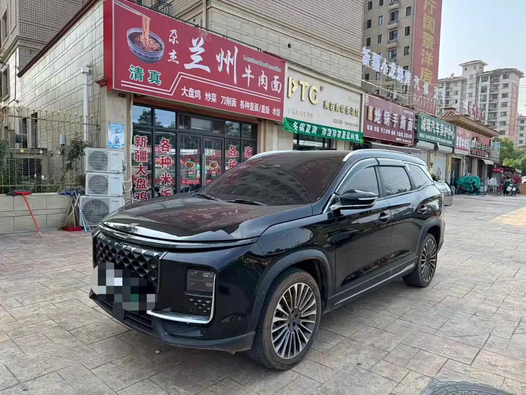 Shanhai Shanhai L9 2024