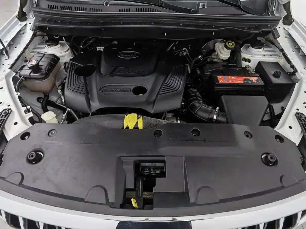 SWM G05 2019 1.5T AT Luxury