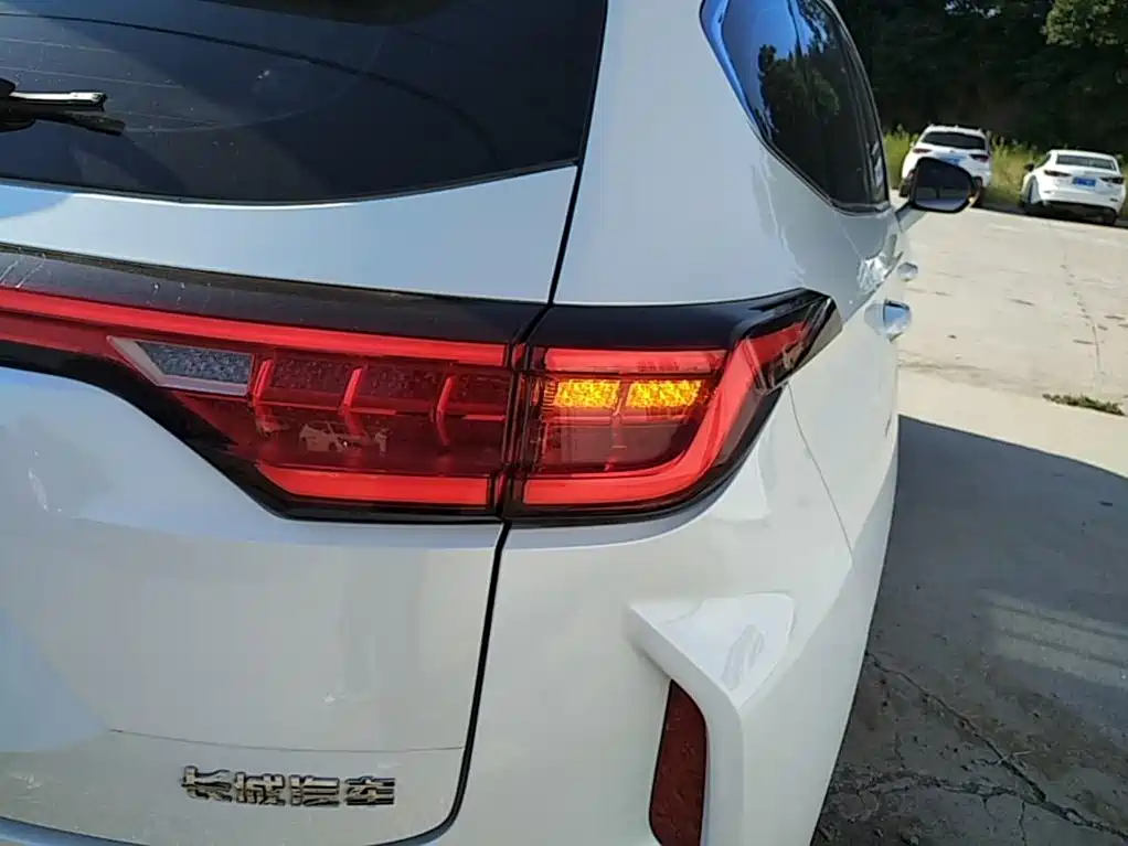 Haval Chitu — миниатюра 8