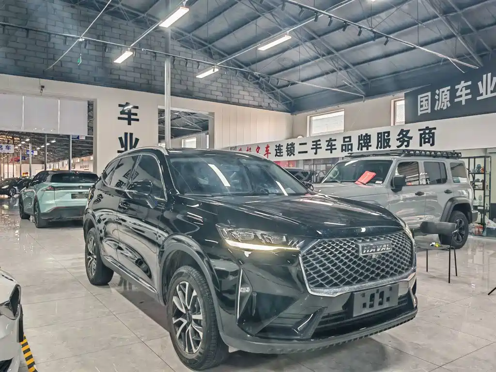 Haval H6 — миниатюра 8