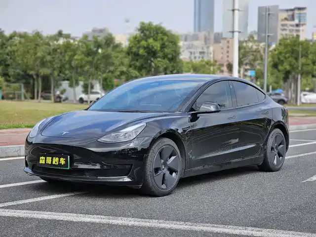 TESLA MODEL 3 2021
