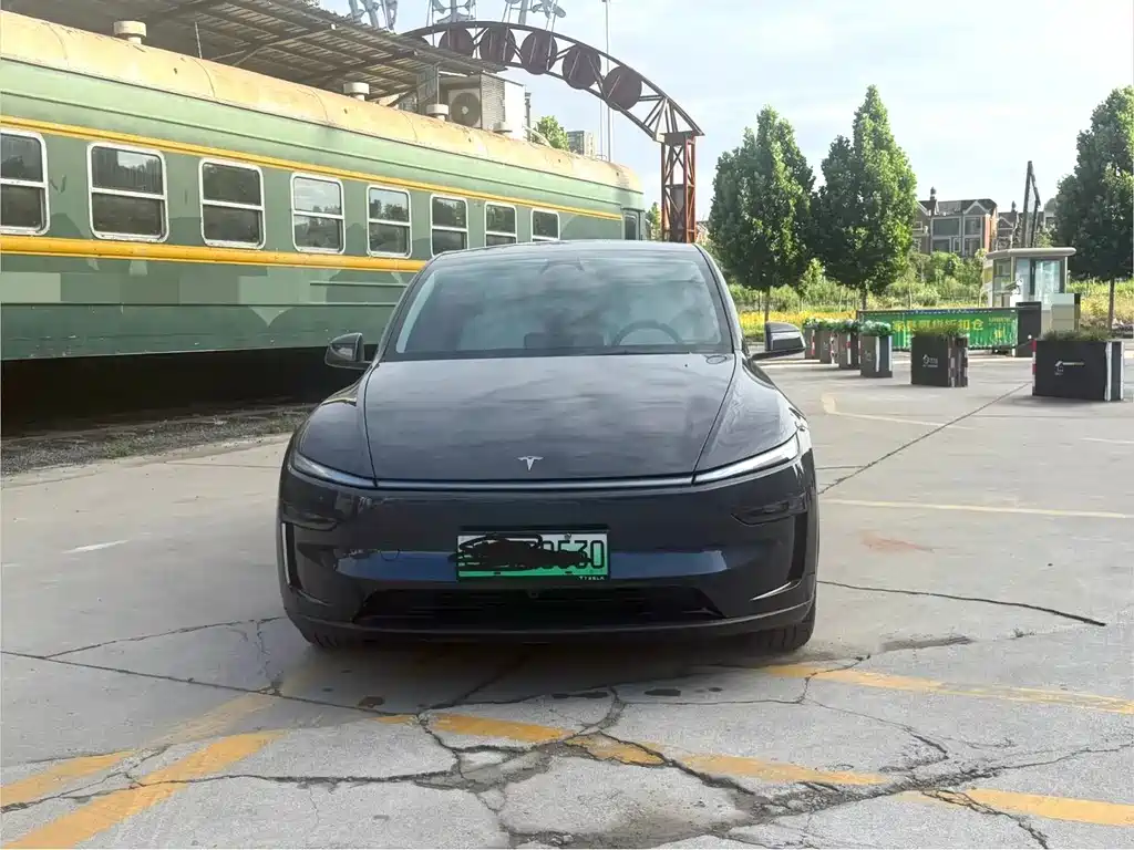 Tesla Model Y — миниатюра 2