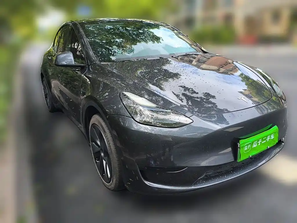 Tesla Model Y — миниатюра 24