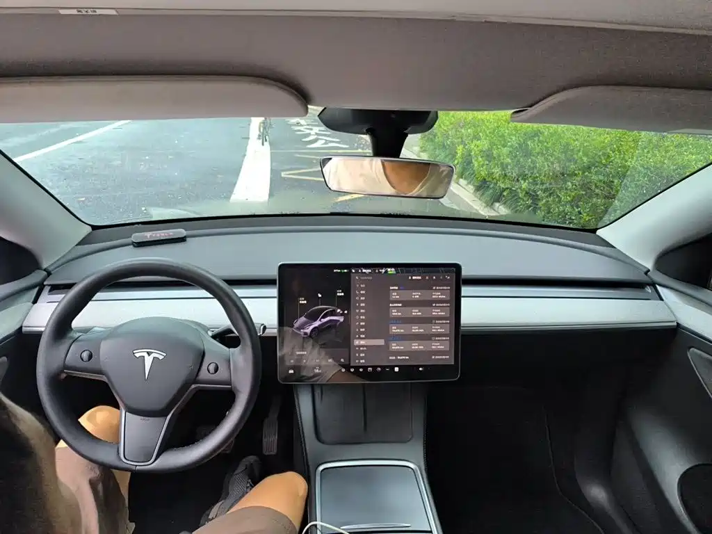 Tesla Model Y — миниатюра 13