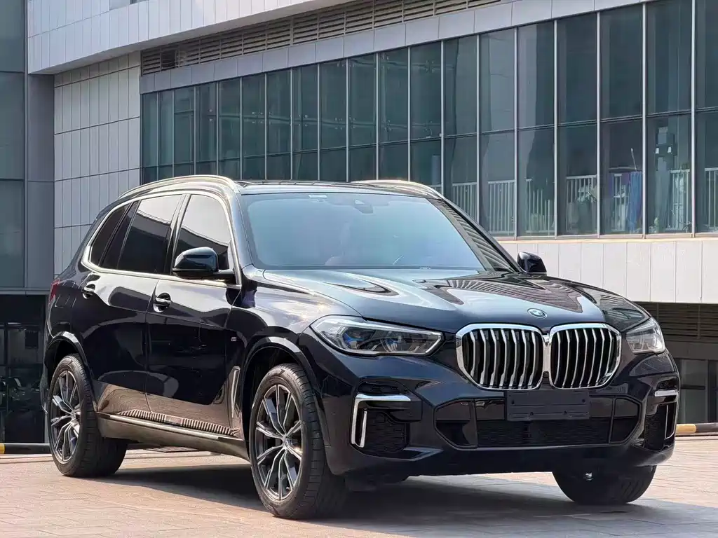 BMW X5 — миниатюра 3