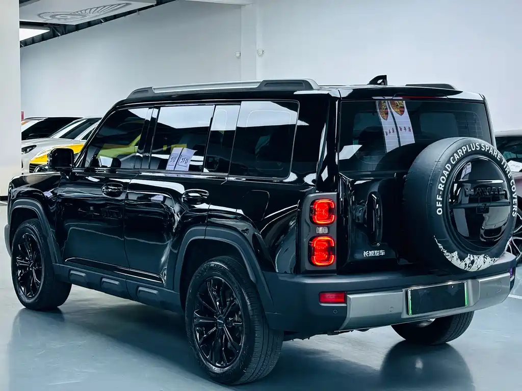 Haval Menglong New Energy — миниатюра 13