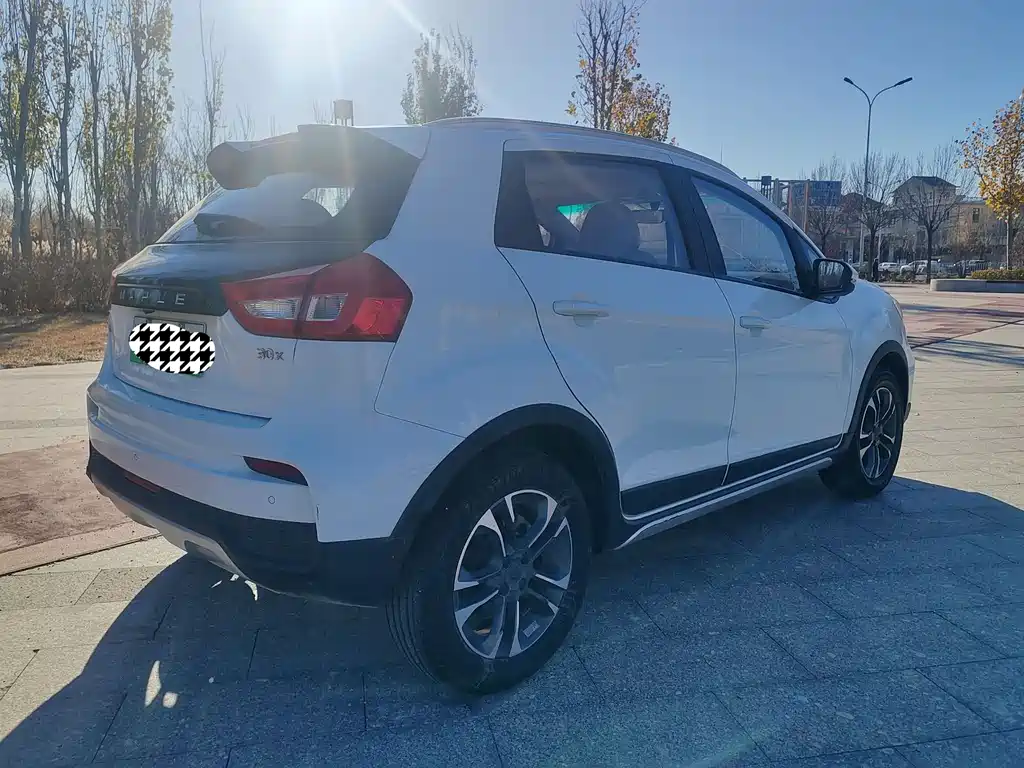 RUILAN AUTOMOBILE MAPLE LEAF 30X