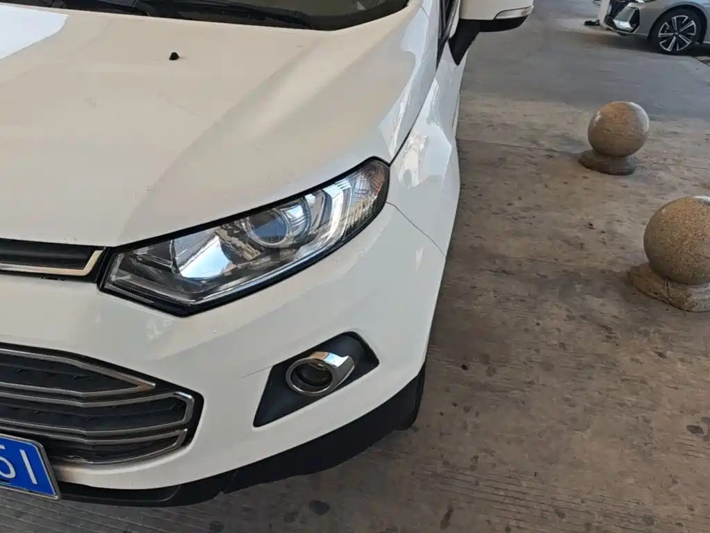 Ford Ecosport — миниатюра 24