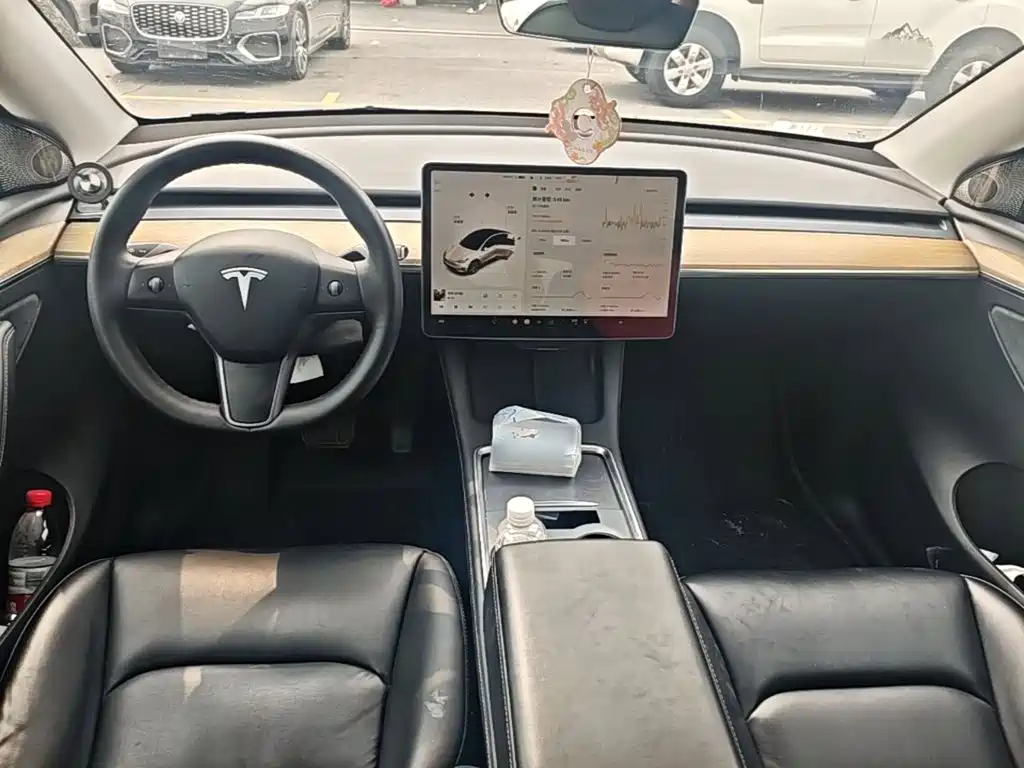 Tesla Model Y — миниатюра 10