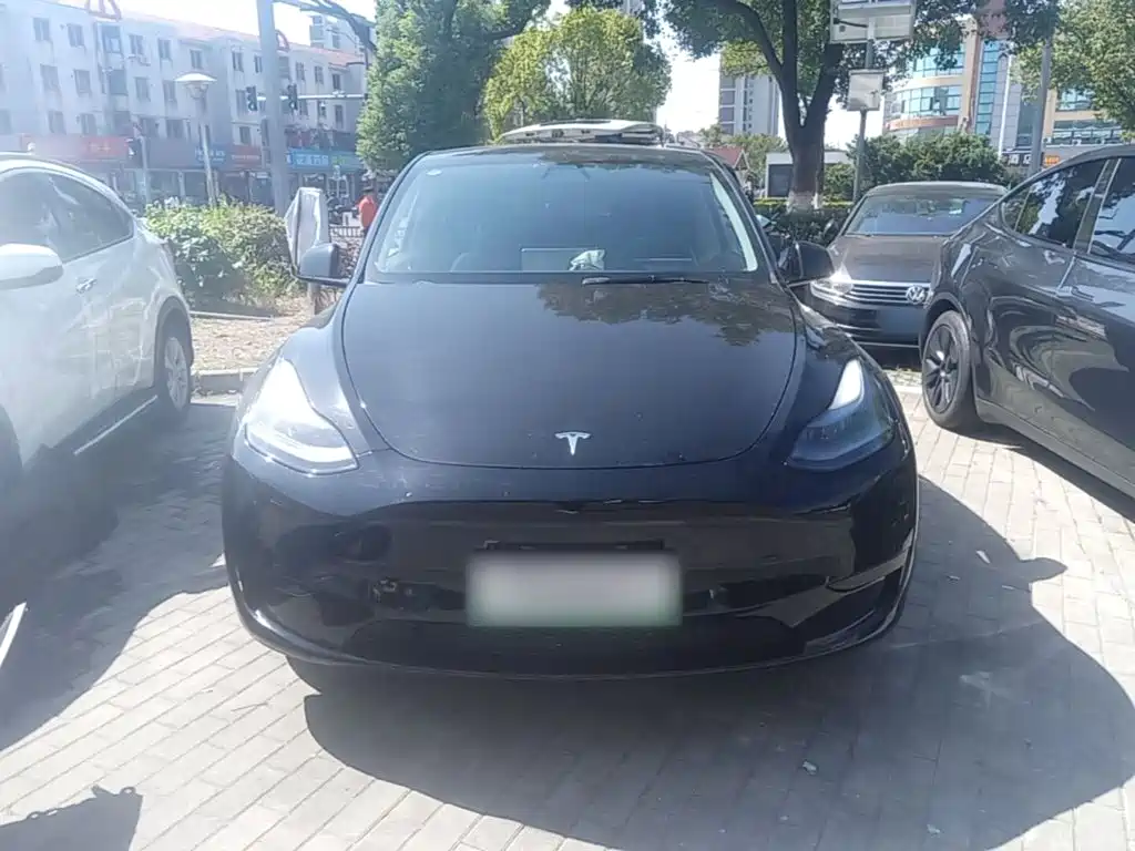 Tesla Model Y — миниатюра 3