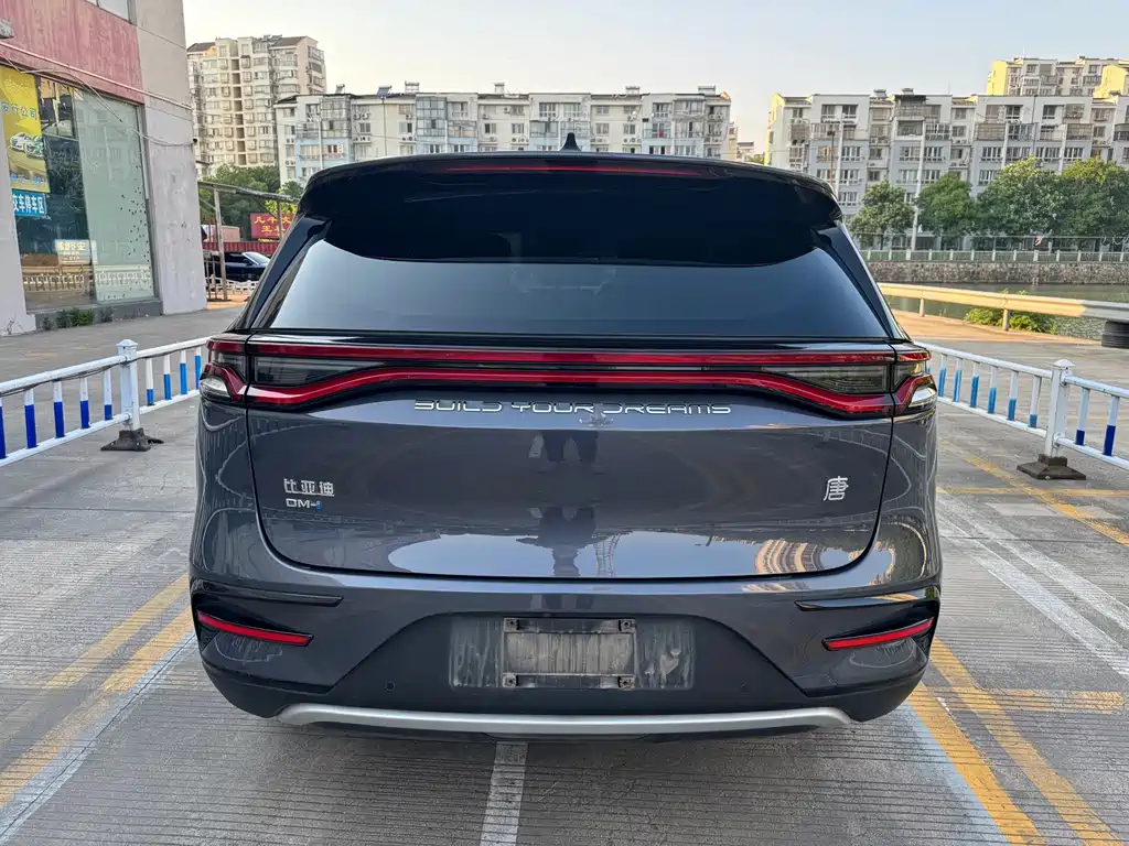 BYD Tang New Energy — миниатюра 5