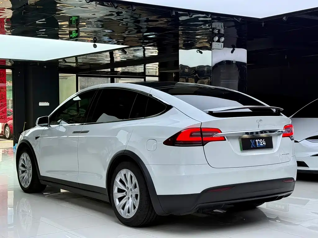 Tesla Model X — миниатюра 6