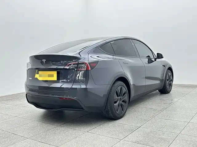 Tesla Model Y — миниатюра 6