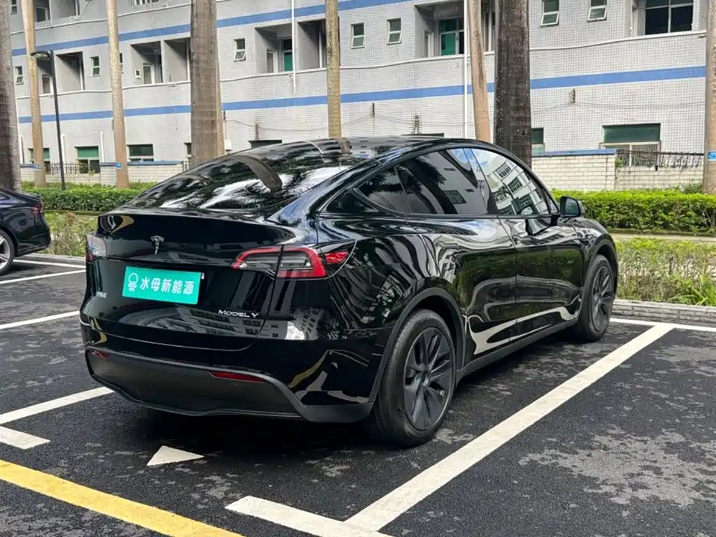 Tesla Model Y — миниатюра 13