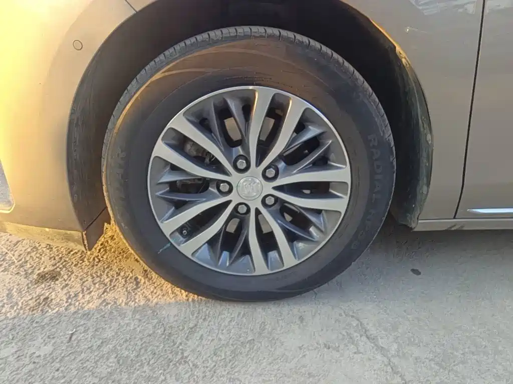 Buick GL8 — миниатюра 23