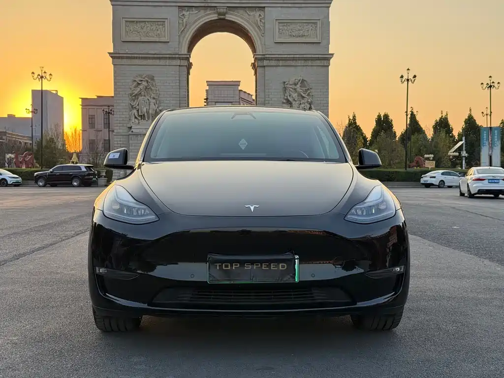 Tesla Model Y — миниатюра 3