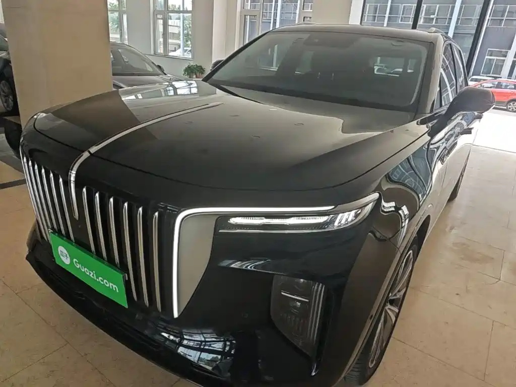 Hongqi Hongqi E-HS9