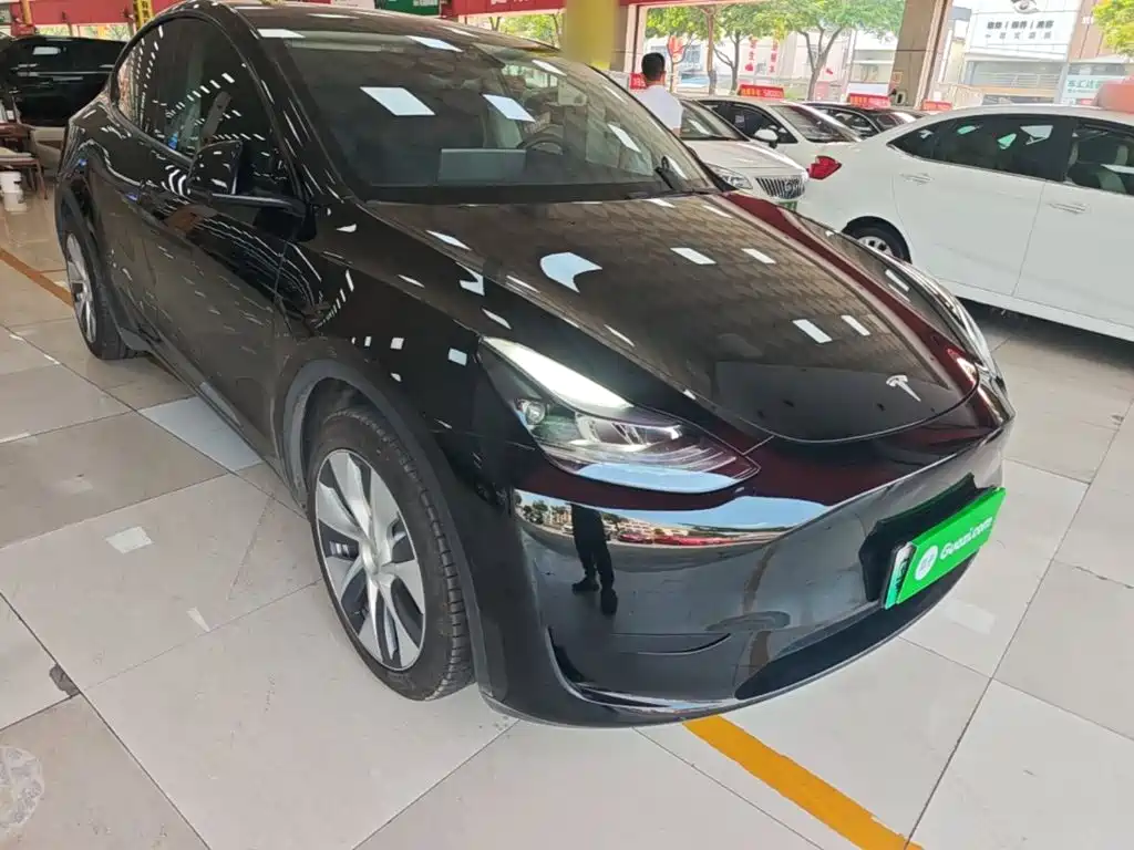 Tesla Model Y — миниатюра 4