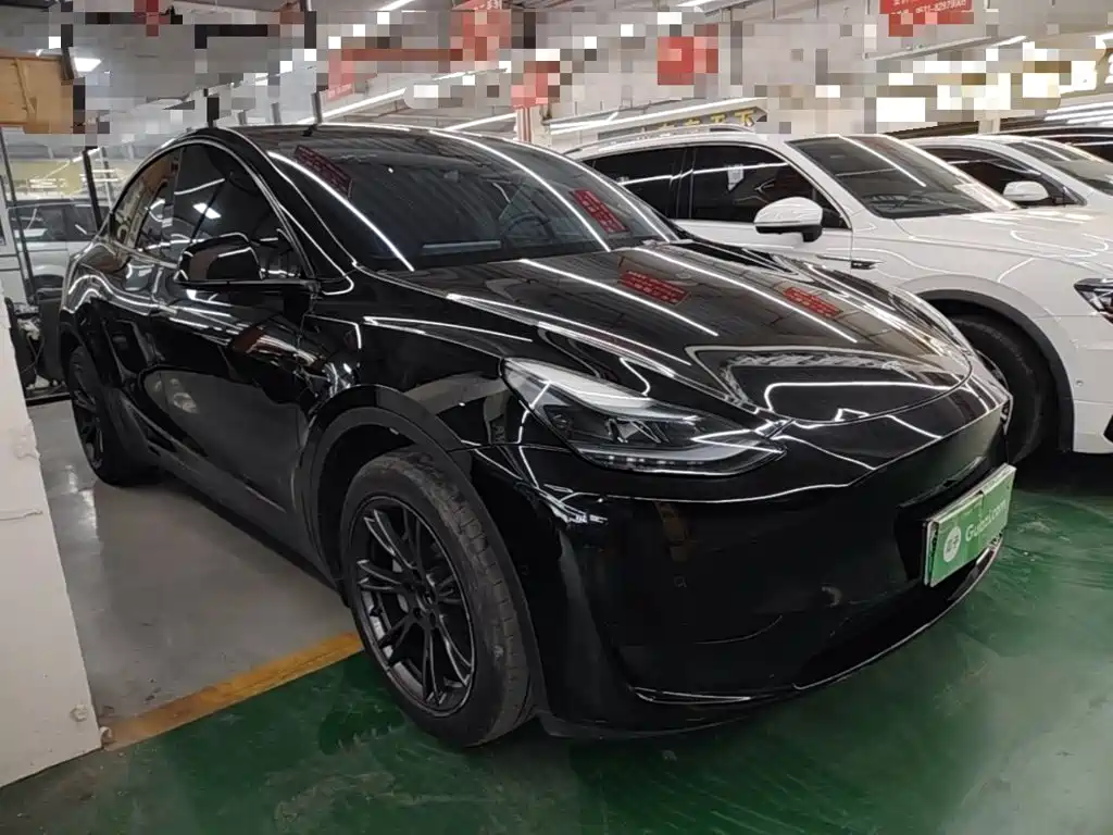 Tesla Model Y — миниатюра 4