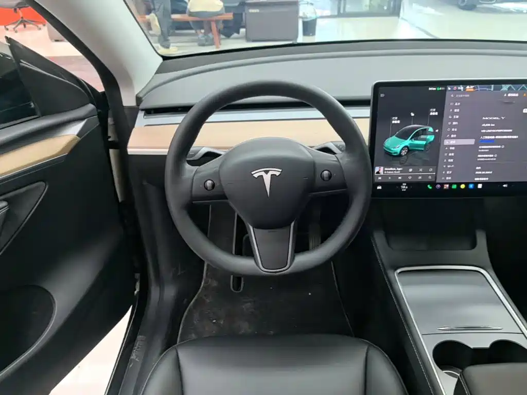 Tesla Model Y — миниатюра 11