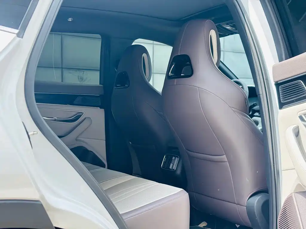 BYD PLUS New Energy — миниатюра 12