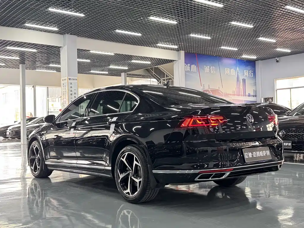 Volkswagen Magotan 2024 200 330TSI DSG Luxury