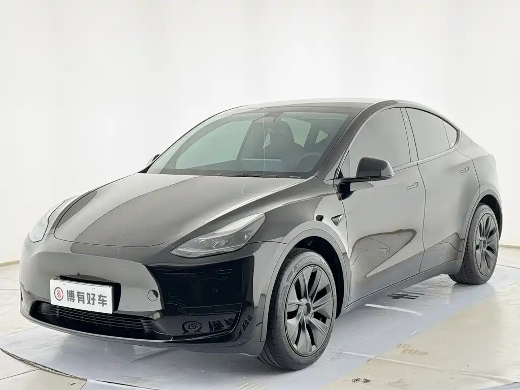 Tesla Model Y — миниатюра 4