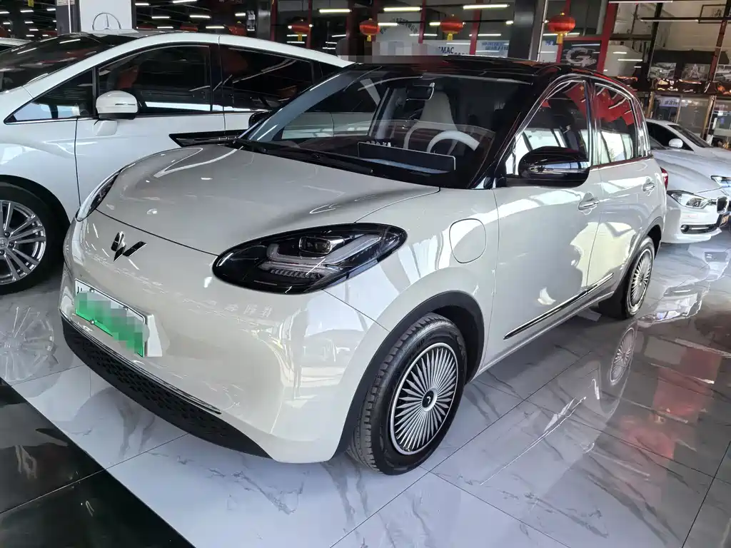 Wuling Bingo 2024