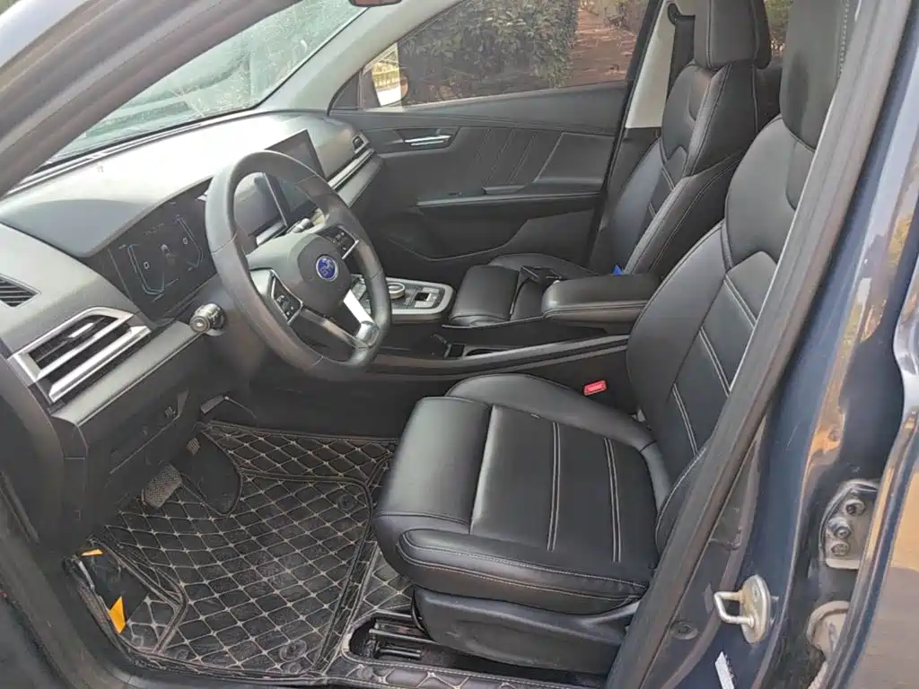 BYD e2 — миниатюра 15