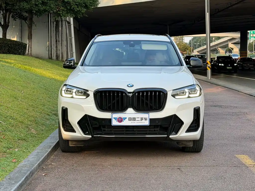 BMW X3 — миниатюра 2