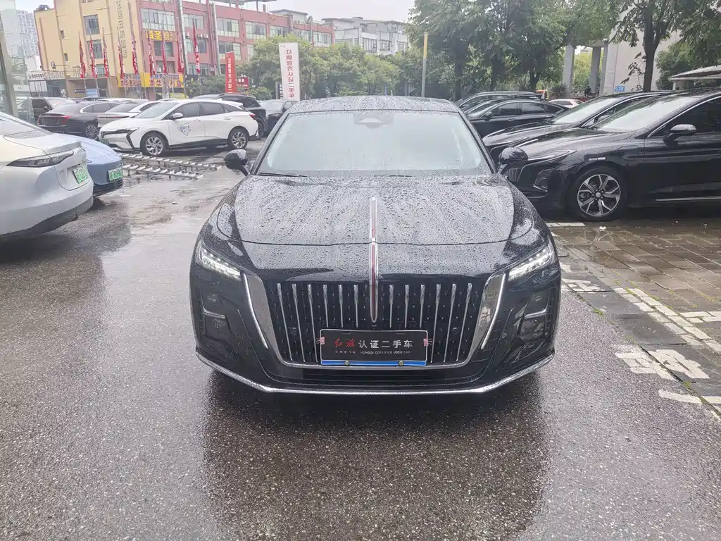 Hongqi Hongqi H5 2024