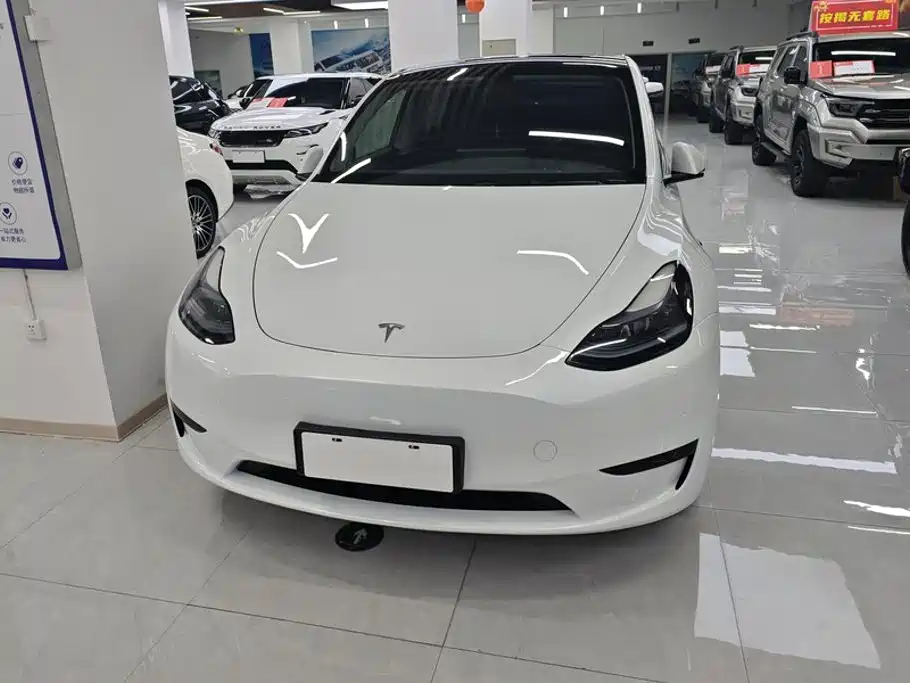 Tesla Model Y — миниатюра 2
