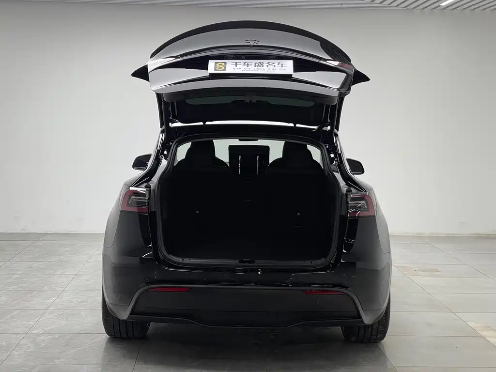 Tesla Model Y — миниатюра 10