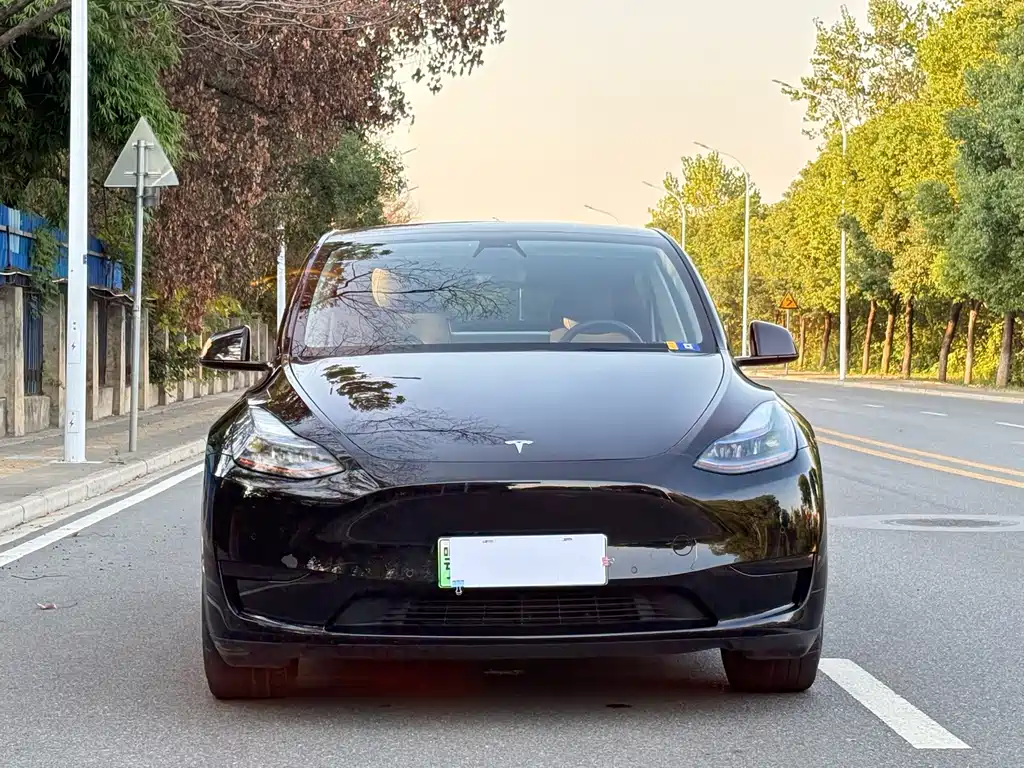 Tesla Model Y — миниатюра 2