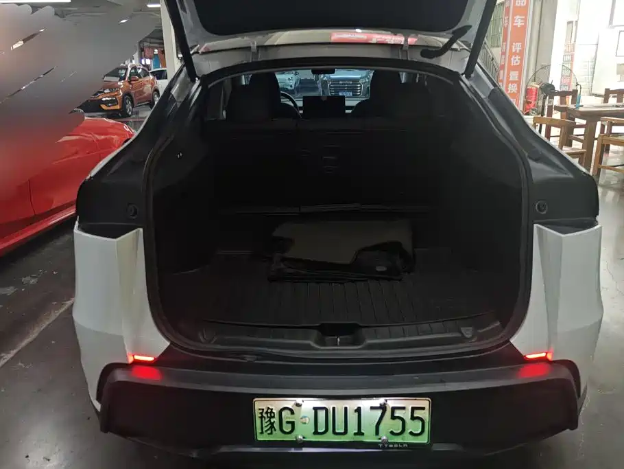 Tesla Model Y — миниатюра 4