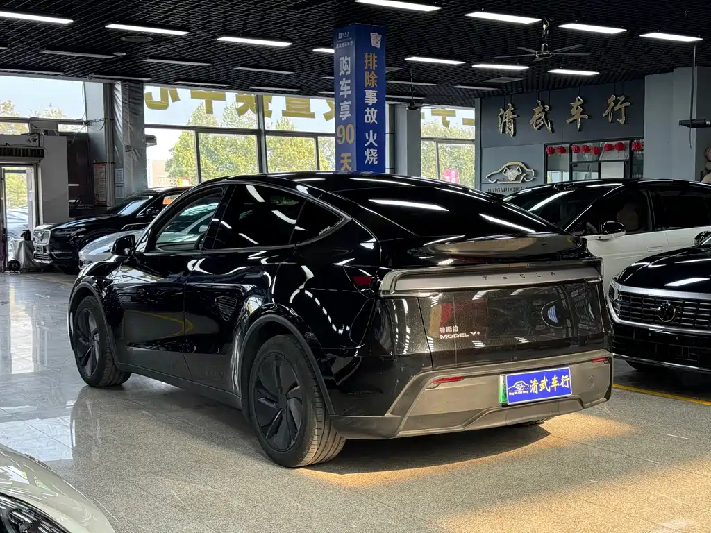 Tesla Model Y — миниатюра 13