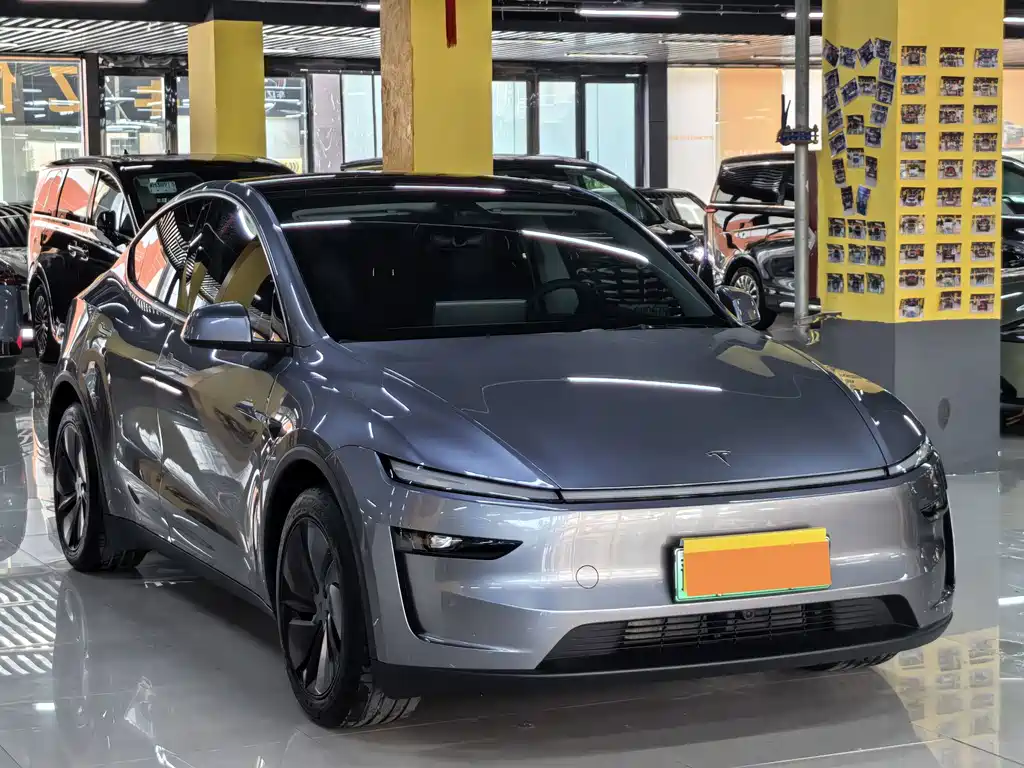 Tesla Model Y — миниатюра 3