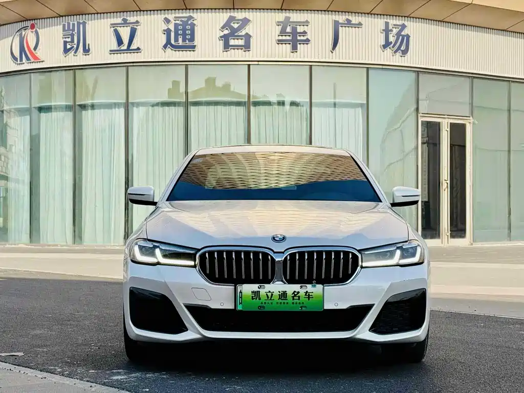 BMW 5 SERIES NEW ENERGY