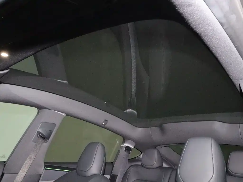 Tesla Model Y — миниатюра 15
