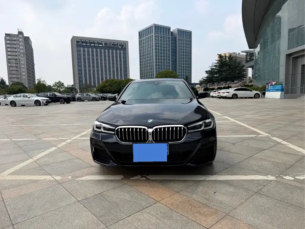 BMW 5 Series — миниатюра 2
