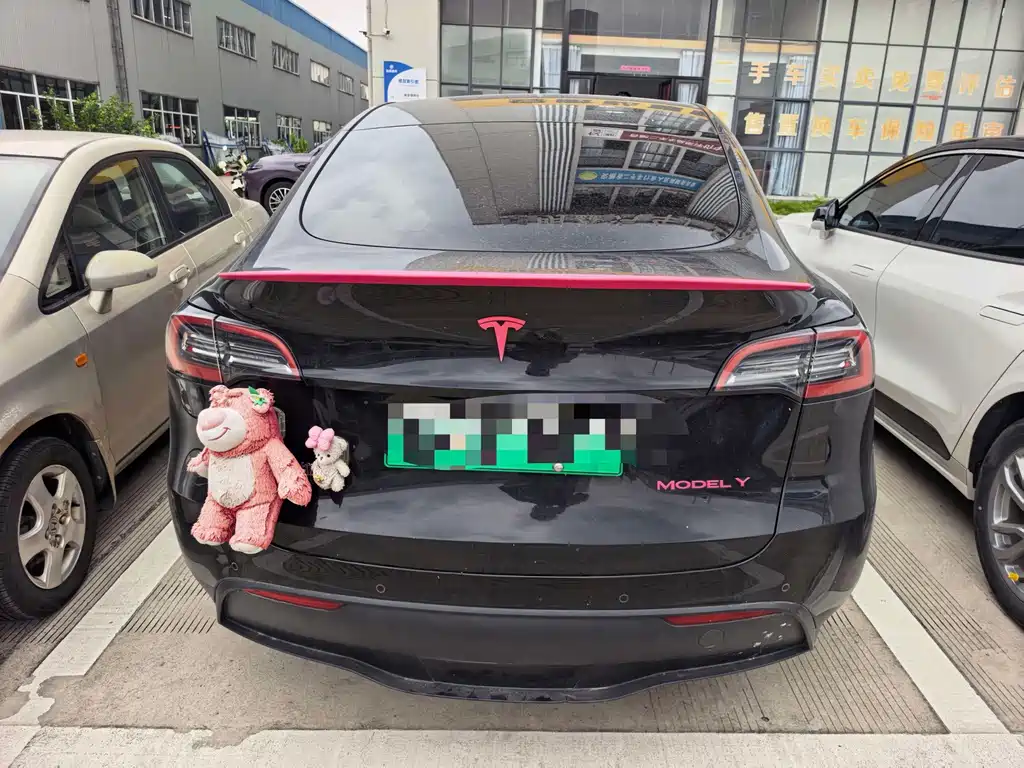 Tesla Model Y — миниатюра 6