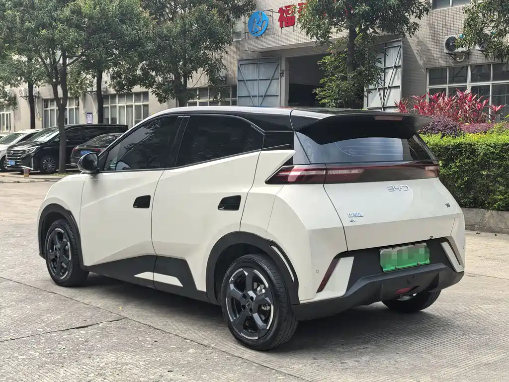 BYD Seagull 2024 405km Flying