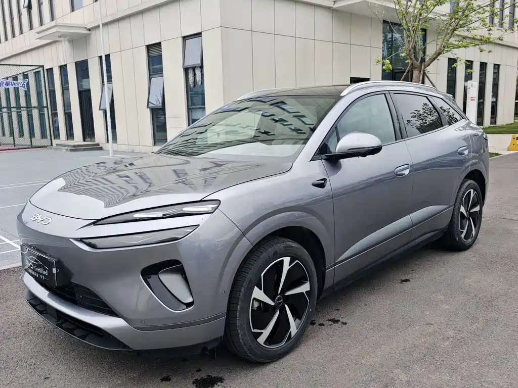 Byd 海狮06 2025