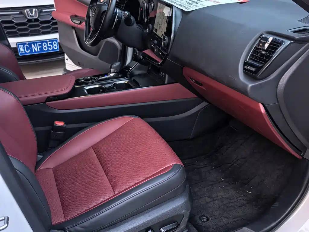 Lexus NX New Energy — миниатюра 13