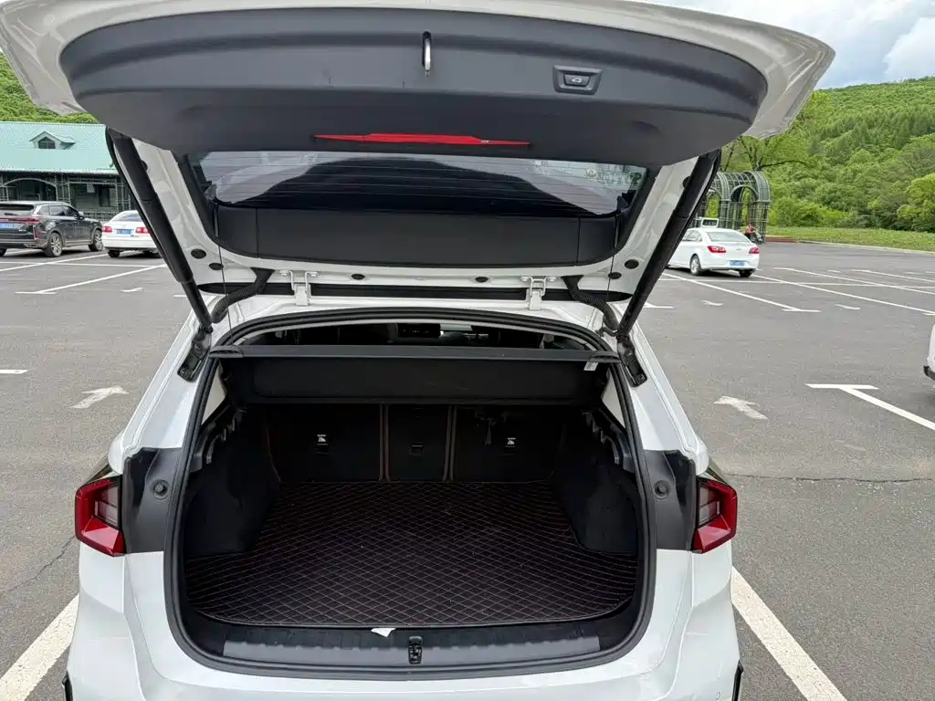 BMW X1 — миниатюра 16