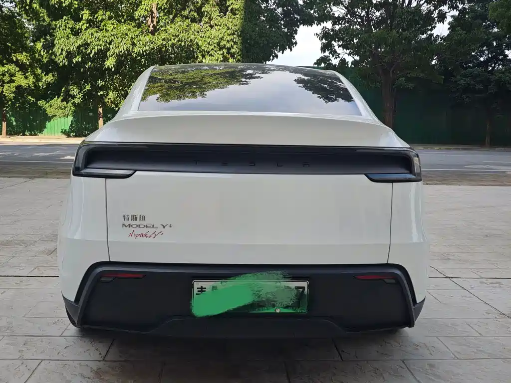 Tesla Model Y — миниатюра 7