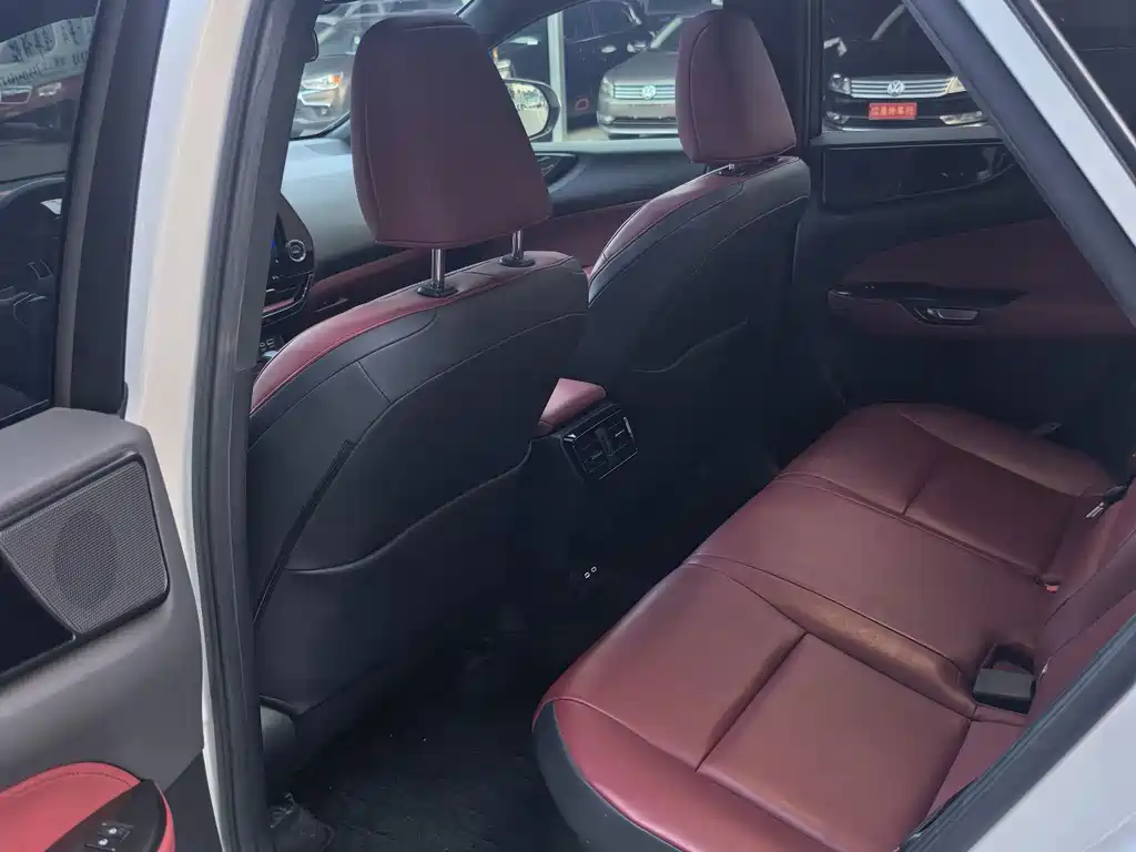 Lexus NX New Energy — миниатюра 11